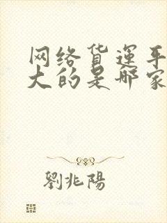 网络货运平台最大的是哪家