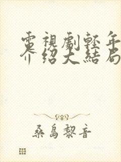 电视剧轻年剧情介绍大结局免费观看