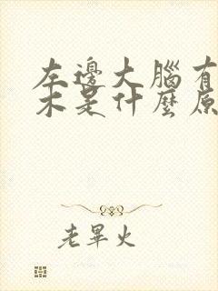 左边大脑有点麻木是什么原因