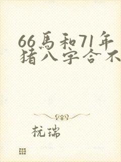 66马和71年猪八字合不合