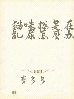 猫咪总是在床上乱尿怎么办