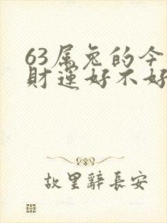 63属兔的今天财运好不好