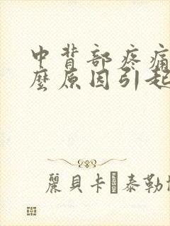 中背部疼痛是什么原因引起的封面