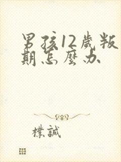 男孩12岁叛逆期怎么办