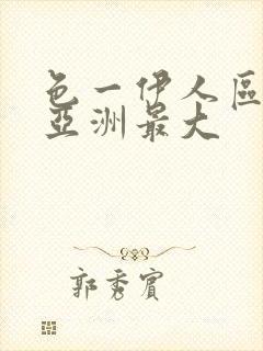 色一伊人区二区亚洲最大