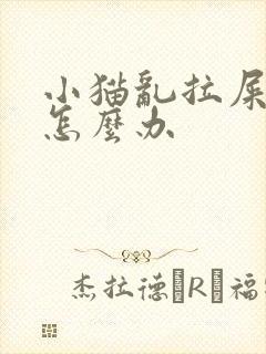 小猫乱拉屎拉尿怎么办