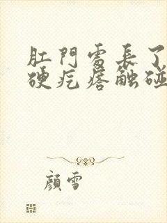 肛门处长了一个硬疙瘩触碰有点疼