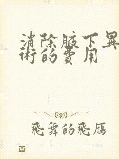 消除腋下异味手术的费用