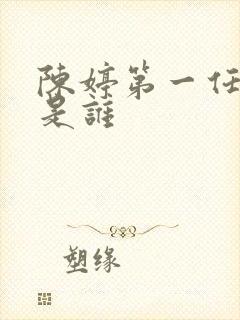 陈婷第一任丈夫是谁