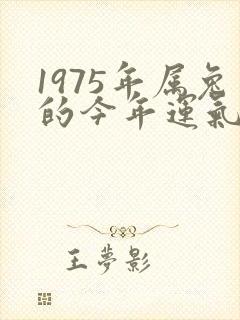 1975年属兔的今年运气怎么样