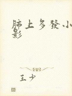 肺上多发小结节影封面