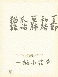 猫爪草和夏枯草能治肺结节吗能吃吗