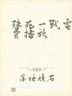 殊死一战电影免费播放封面