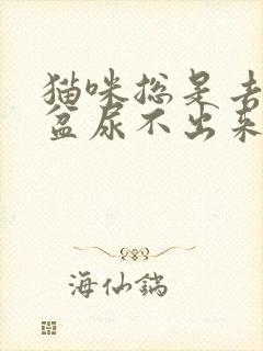 猫咪总是去猫砂盆尿不出来