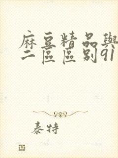 麻豆精品与一区二区区别91