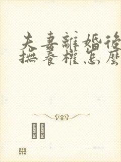 夫妻离婚后小孩抚养权怎么判定封面