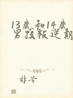 13岁和14岁男孩叛逆期怎么办