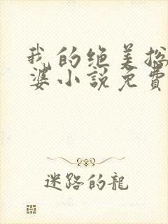 我的绝美总裁老婆小说免费