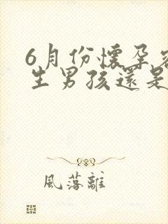 6月份怀孕容易生男孩还是女孩