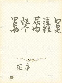 男性尿道口长了两个肉粒是怎么回事