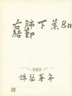 右肺下叶8mm结节