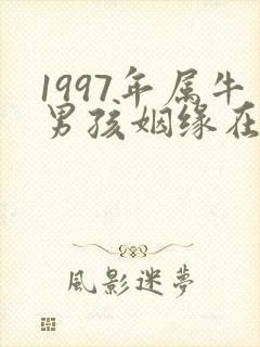1997年属牛男孩姻缘在哪年