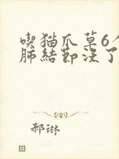 吃猫爪草6个月肺结节没了