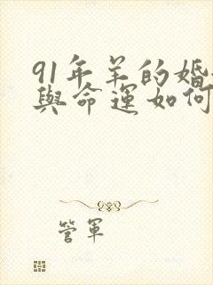 91年羊的婚姻与命运如何