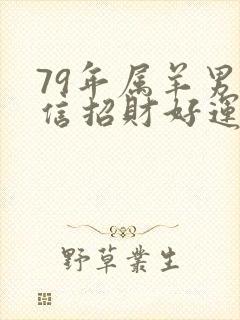 79年属羊男微信招财好运头像