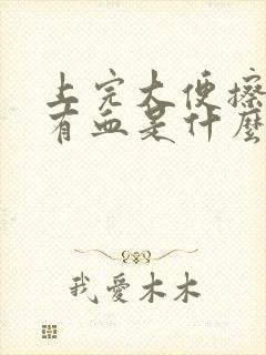 上完大便擦屁股有血是什么原因