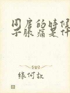 同房的时候小肚子胀痛是什么原因