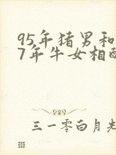 95年猪男和97年牛女相配吗