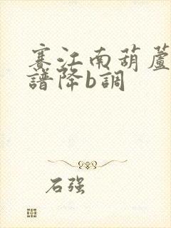 赛江南葫芦丝曲谱降b调