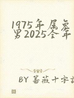 1975年属兔男2025全年运势