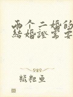 两个二婚的人领结婚证需要带什么