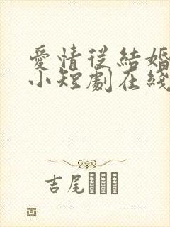 爱情从结婚开始小短剧在线观看