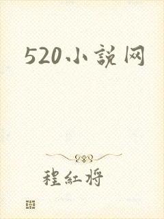 520小说网