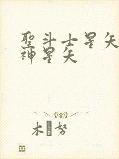 圣斗士星矢重生神星矢