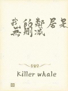 我的邻居是寡妇无删减