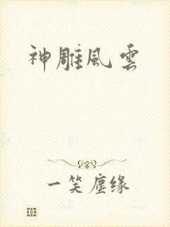 神雕风云