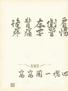 后背左侧肩胛骨疼痛要警惕的三种病封面