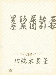 男的尿结石是什么原因引起