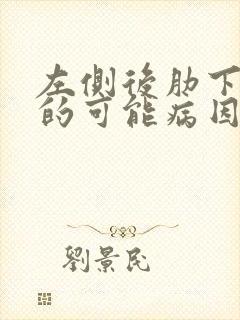 左侧后肋下疼痛的可能病因