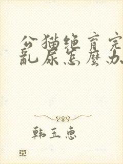 公猫绝育完还是乱尿怎么办封面