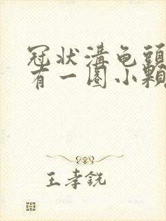 冠状沟龟头边缘有一圈小颗粒