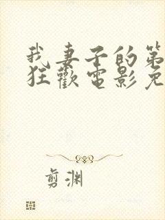 我妻子的第一次狂欢电影免费观看国语高清封面