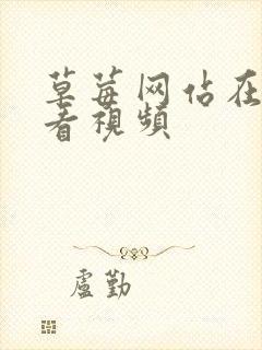 草莓网站在线观看视频