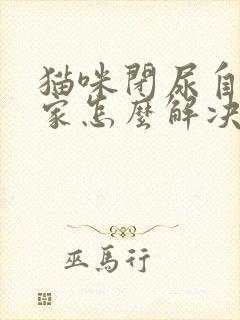 猫咪闭尿自己在家怎么解决