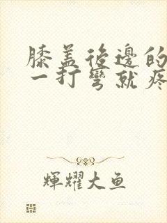 膝盖后边的腿窝一打弯就疼