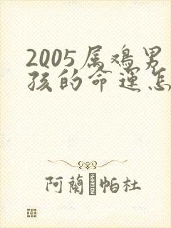 2005属鸡男孩的命运怎么样
